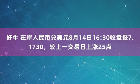 好牛 在岸人民币兑美元8月14日16:30收盘报7.1730，较上一交易日上涨25点
