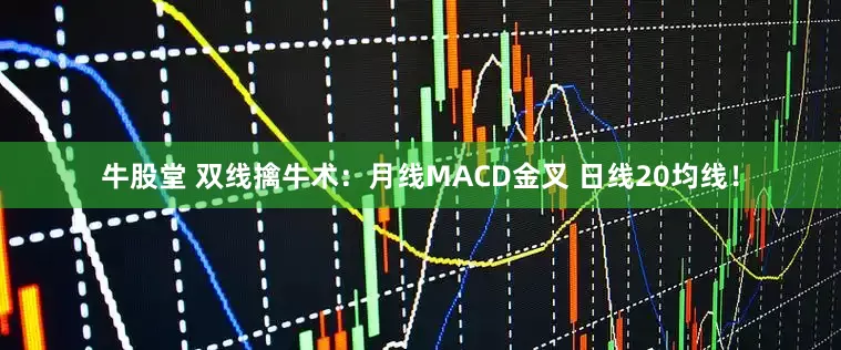 牛股堂 双线擒牛术：月线MACD金叉 日线20均线！