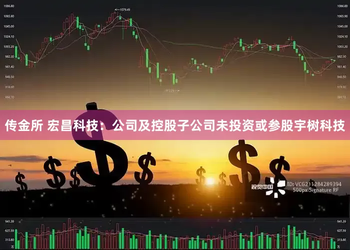 传金所 宏昌科技：公司及控股子公司未投资或参股宇树科技